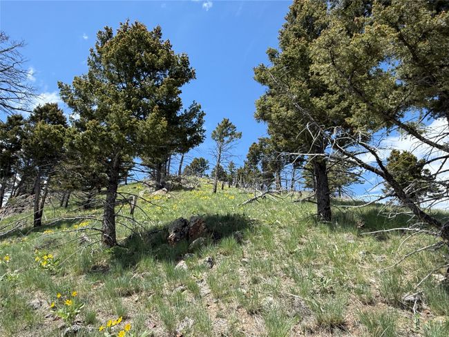 40 High Ore Rd, Home with 0 bedrooms, 0 bathrooms and null parking in Boulder MT | Image 56