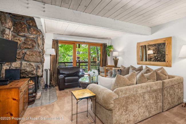 202 - 131 E Durant Ave, Condo with 2 bedrooms, 2 bathrooms and null parking in Aspen CO | Image 4