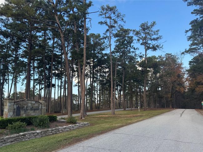 731 N Forest Cove Loop, Home with 0 bedrooms, 0 bathrooms and null parking in Coldspring TX | Image 5