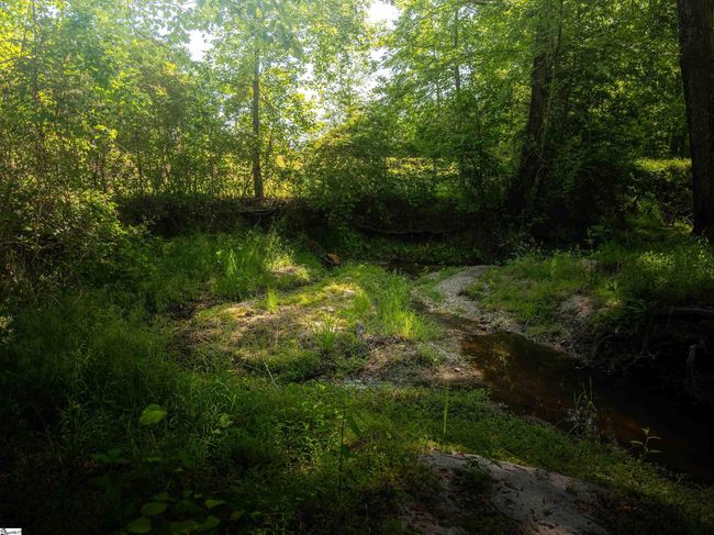 010 Holliday Dam Rd, Home with 0 bedrooms, 0 bathrooms and null parking in Honea Path SC | Image 6