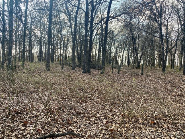 2 State Highway 76, Home with 0 bedrooms, 0 bathrooms and null parking in Wilson OK | Image 21