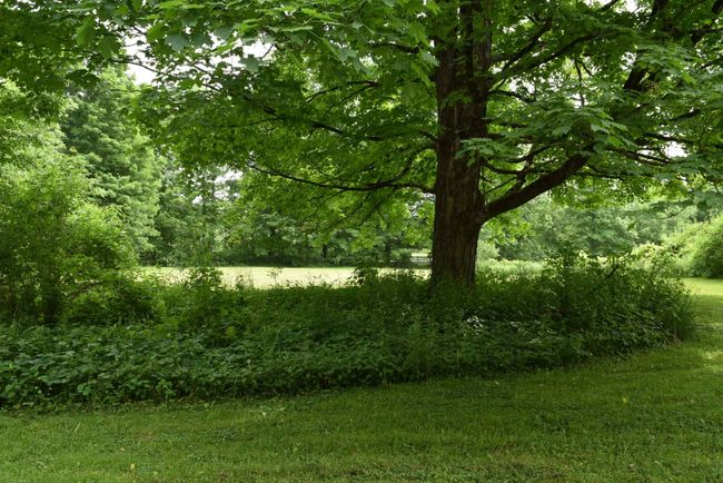 837 Furnace Rd, House other with 4 bedrooms, 4 bathrooms and null parking in Pittsford VT | Image 34