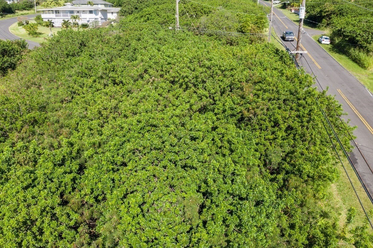 Land in Naalehu 3