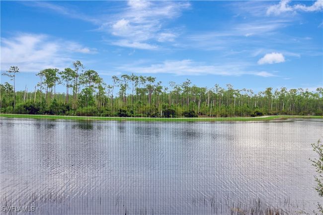 Gorgeous wide view of lake and preserves from lanai | Image 29