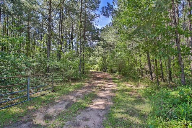 6320 Medley Rd, House other with 3 bedrooms, 2 bathrooms and null parking in New Waverly TX | Image 4