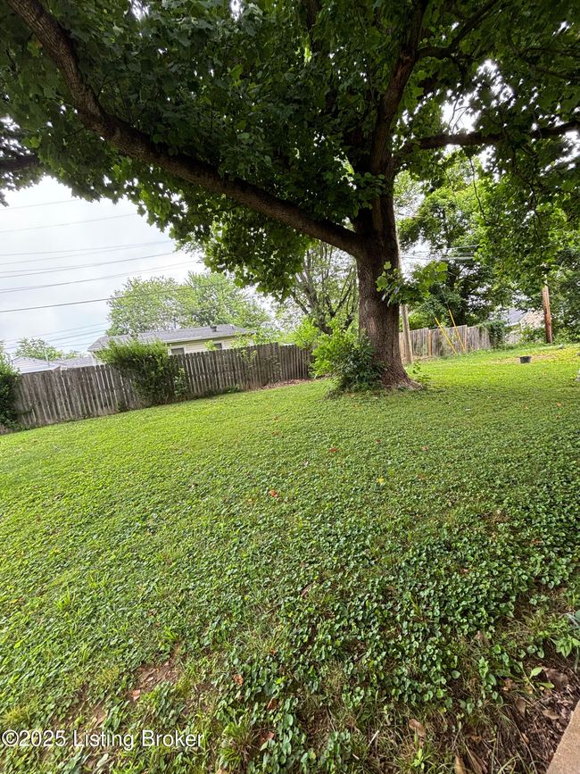 Backyard | Image 12
