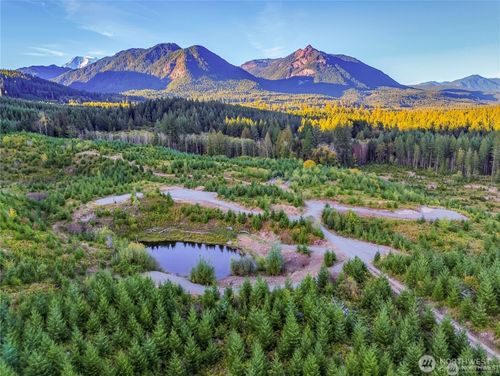 294 Hardy Ln, Packwood, WA, 98361-5003 | Card Image