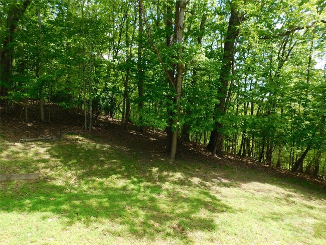 Find solace in your own little neck of the woods. | Image 6