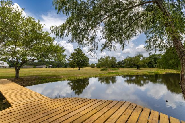 Relax and unwind on your private pier, surrounded by serene views of lush greenery and a tranquil pond. Perfect for peaceful moments and enjoying nature. | Image 6