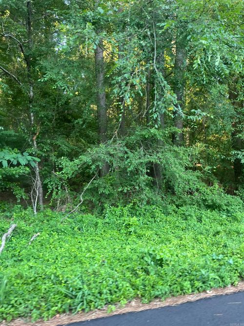 Lot 37 Tanglewood Dr, Monticello, AR, 71655 | Card Image