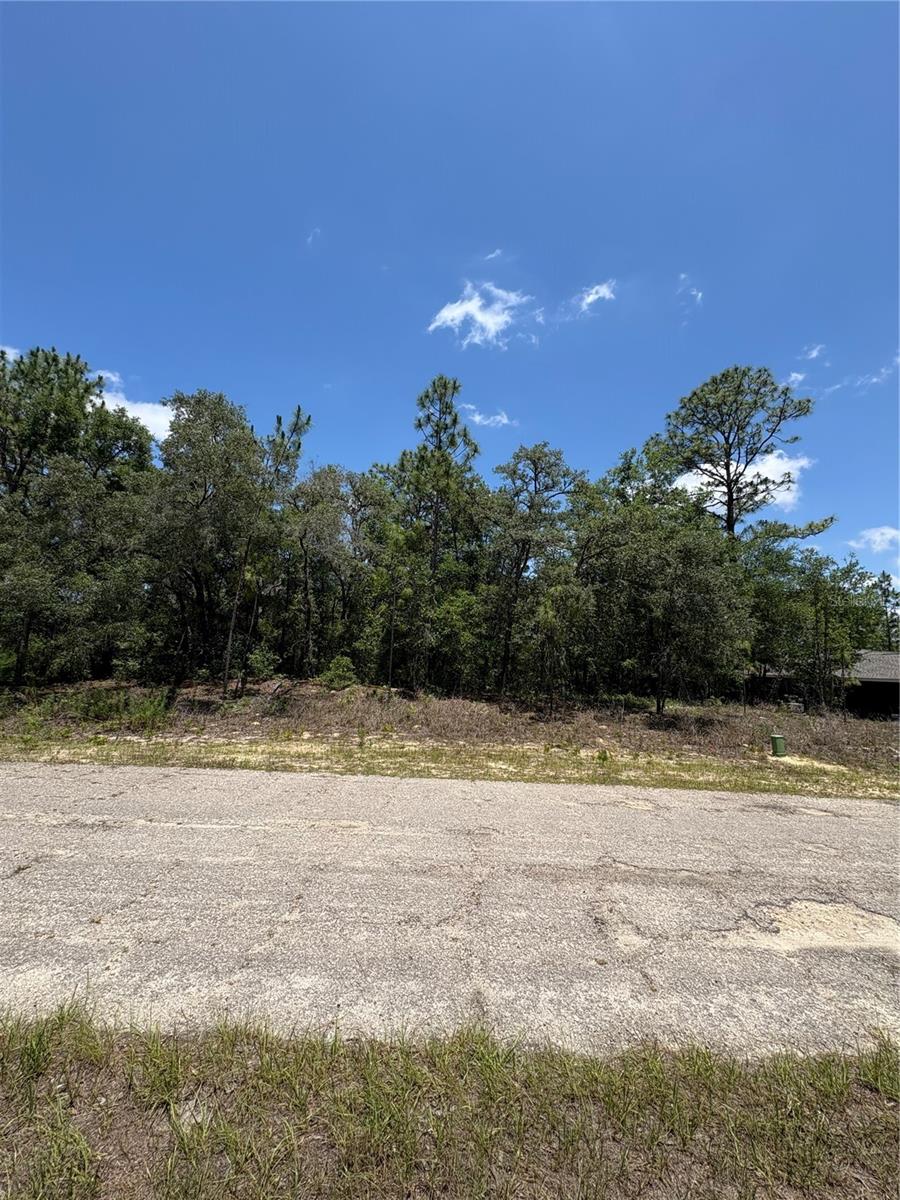 Land in CITRUS SPRINGS 4