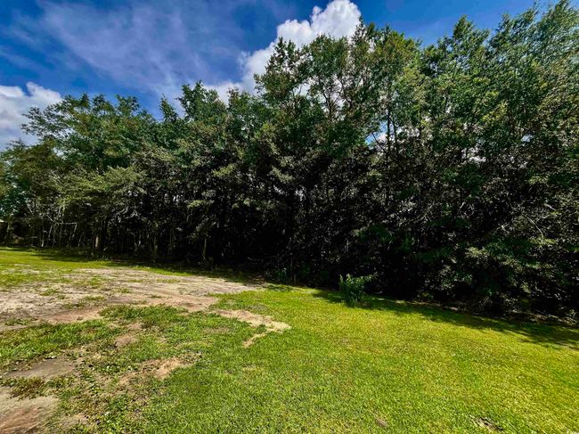 View of yard | Image 9