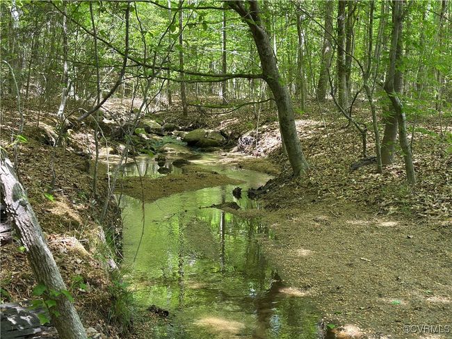 View of nature | Image 43