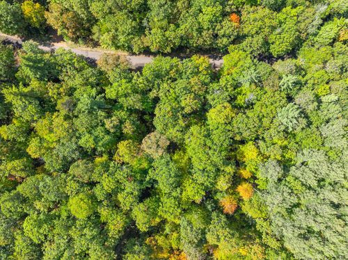 Lot 8 Lake Yawkey Dr, Hazelhurst, WI, 54531 | Card Image