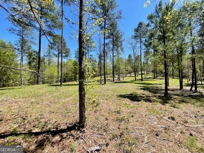 1276 Hornets Bridge Rd, Home with 0 bedrooms, 0 bathrooms and null parking in Elberton GA | Image 15
