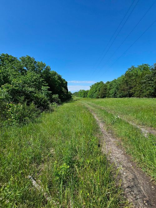 002 E 490th Rd, Bolivar, MO, 65613 | Card Image