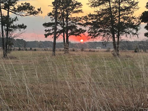 00 Spires Rd, Damascus, AR, 72039 | Card Image
