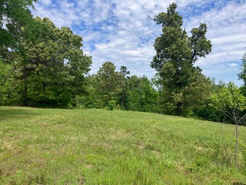TBD Ridgeline Loop Lot 92, Winona, TX, 75792 | Card Image