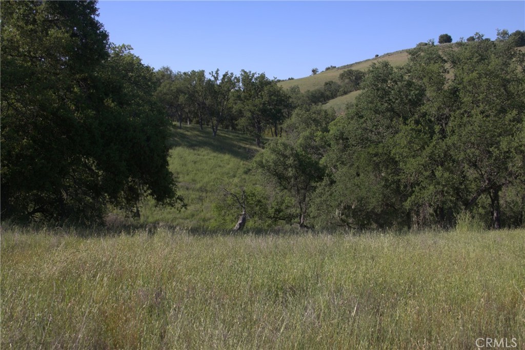 Land in Bradley 5