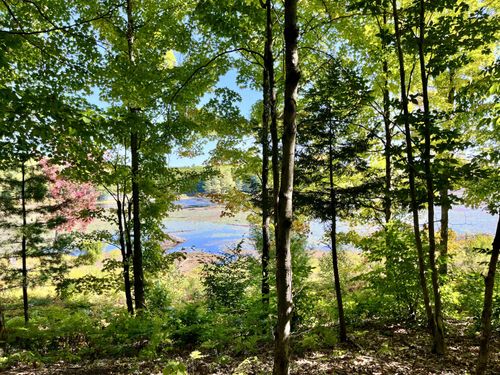 0 Green Pond Ln, Colton, NY, 13625 | Card Image