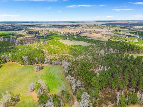 TBD Muddy Creek Rd., Johnsonville, SC, 29555 | Card Image