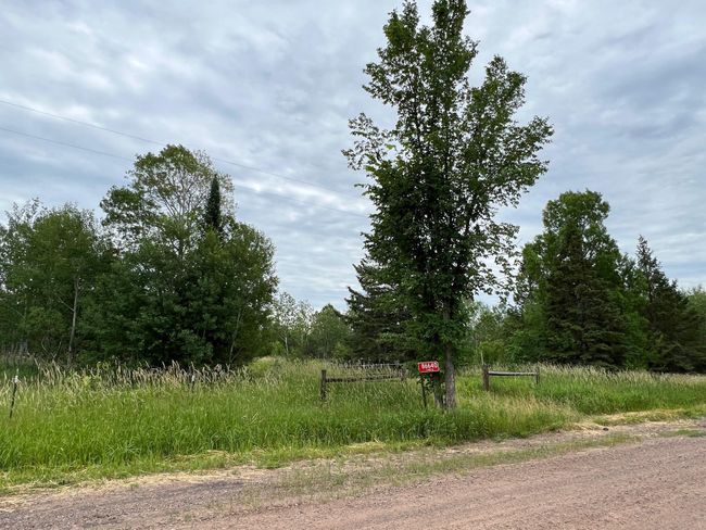 Meadow | Image 34