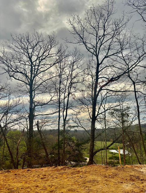 960 High Rock Rd, Stanton, KY, 40380-6500 | Card Image