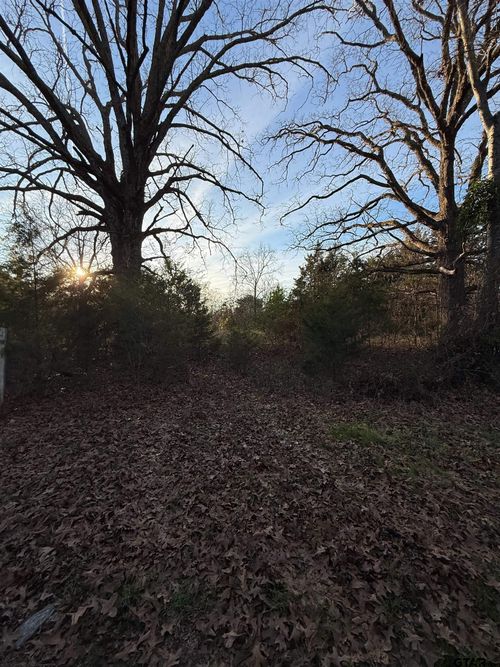 TBD County Road 4950, Pittsburg, TX, 75686 | Card Image