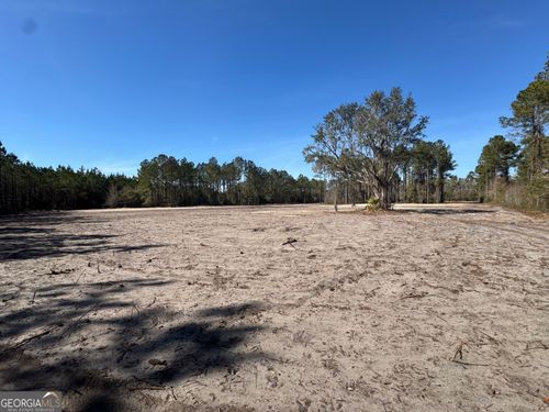 0 Hawthorne Rd Ne, Townsend, GA, 31331 | Card Image