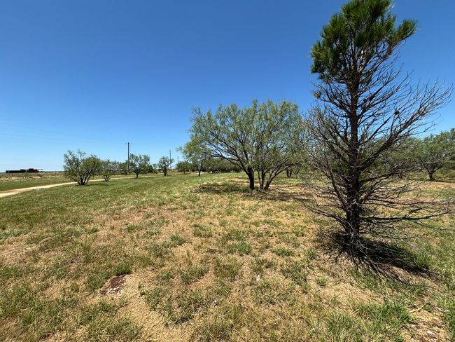 6480 Fm 603, House other with 4 bedrooms, 2 bathrooms and null parking in Clyde TX | Image 17