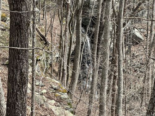 4441 Deer Run Rd, Altamont, TN, 37301-4251 | Card Image