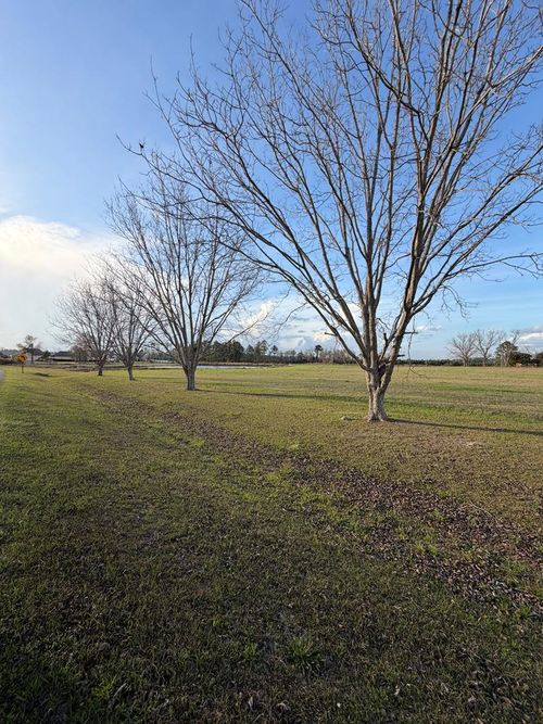Lot #31 Lakeview Cir, Nashville, GA, 31639-6300 | Card Image