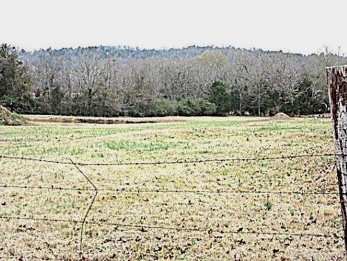 16 Cherub Ct, Greenbrier, AR, 72058-9596 | Card Image