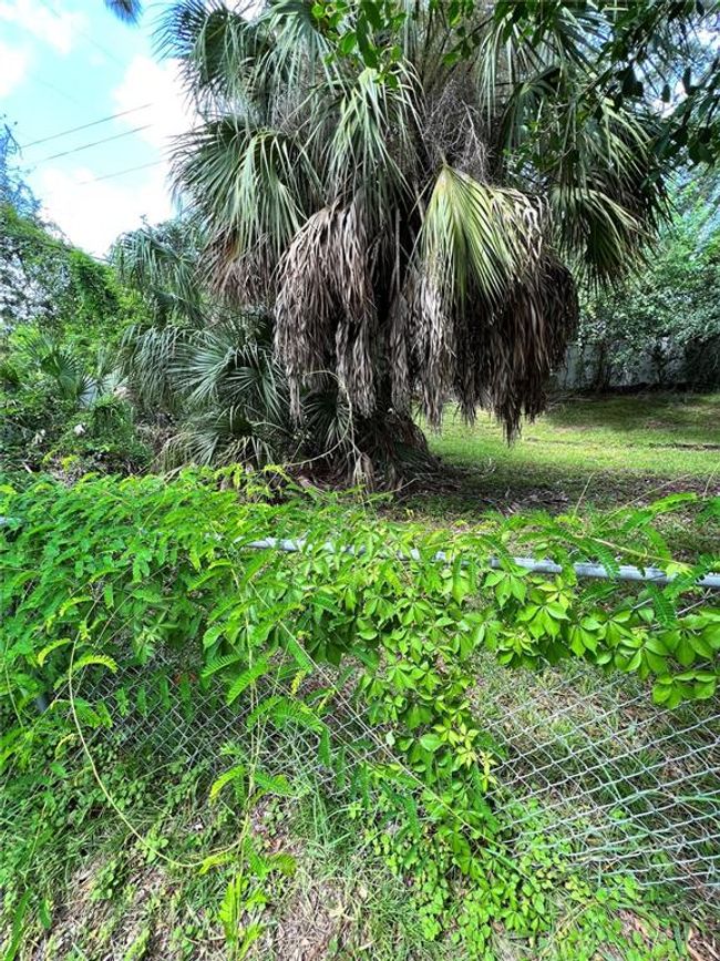 374 Scott Ave, Home with 0 bedrooms, 0 bathrooms and null parking in SARASOTA FL | Image 16