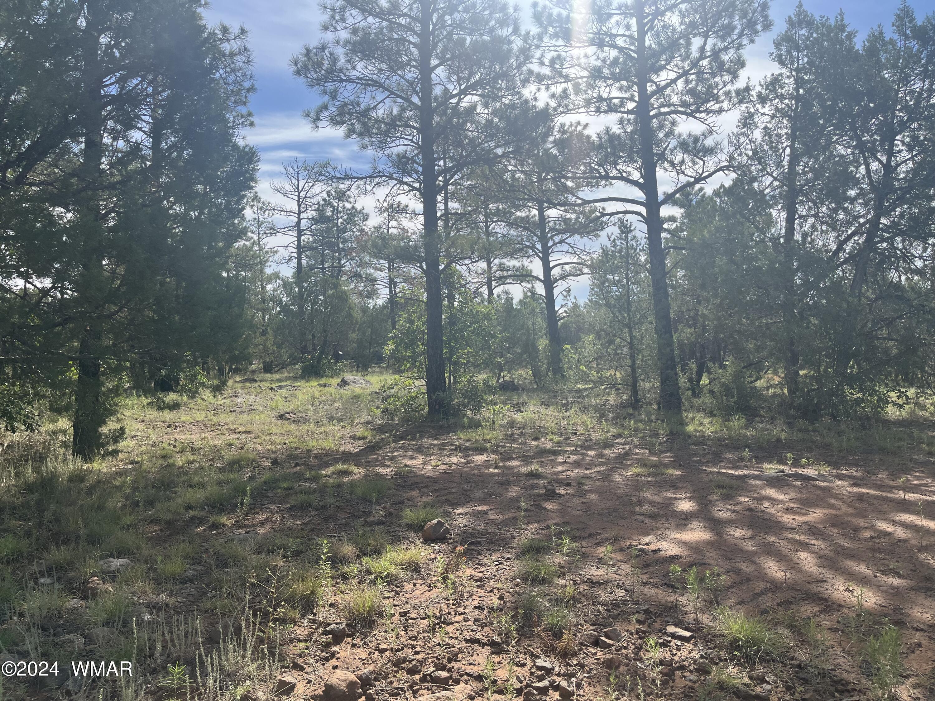 Land in Lakeside 3