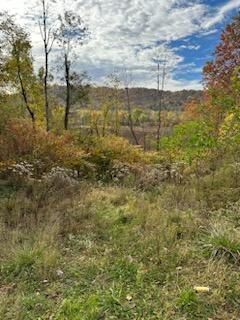 12th St, Moundsville, WV 26041