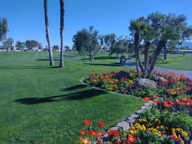 Palm Desert Greens cc 1 | Image 25