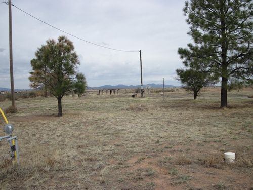 5 Gerry Ct, Moriarty, NM, 87035-8158 | Card Image