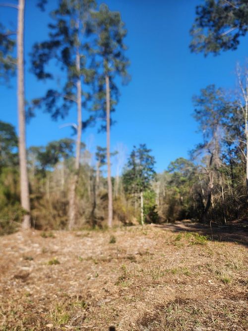 NHN Lakeside Dr, Carriere, MS, 39426 | Card Image