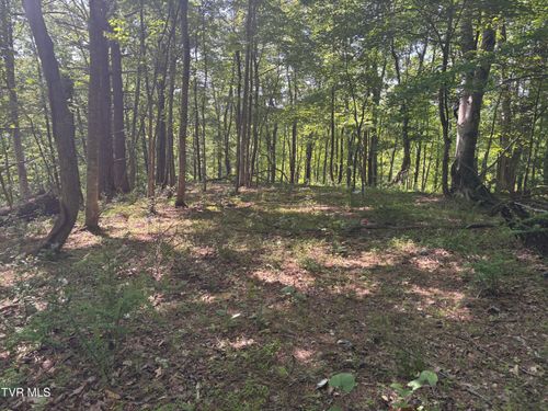 Tbd Skeetrock Rd, Clintwood, VA, 24228 | Card Image