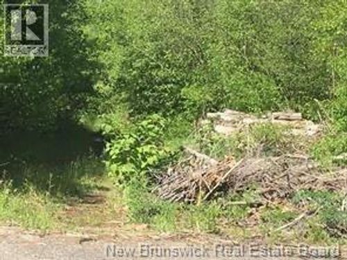 234 Flanagan Rd, Fredericton, NB, E3C2E8 | Card Image