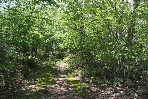 TBD Summit Dr, MONTEREY, VA, 24465 | Card Image