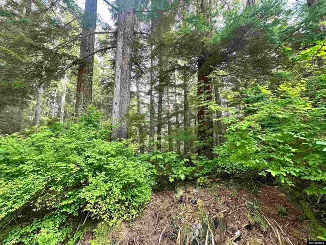 100 Yakobi Way, Home with 0 bedrooms, 0 bathrooms and null parking in Sitka AK | Image 5