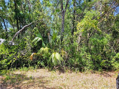 4043 E Dano St, Inverness, FL, 34453-0495 | Card Image
