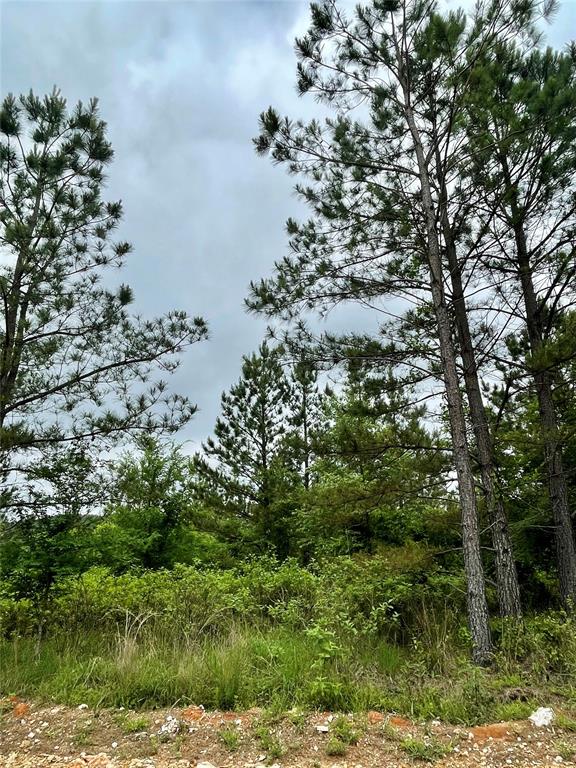 Land in Broken Bow
