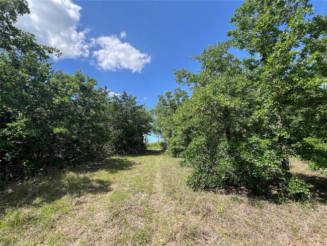 2 S Richards St, Home with 0 bedrooms, 0 bathrooms and null parking in Anderson TX | Image 8