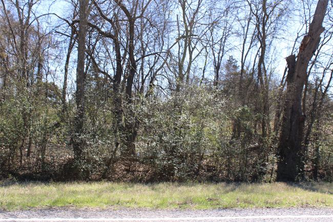 8738 Us Highway 67, Home with 0 bedrooms, 0 bathrooms and null parking in Saltillo TX | Image 12