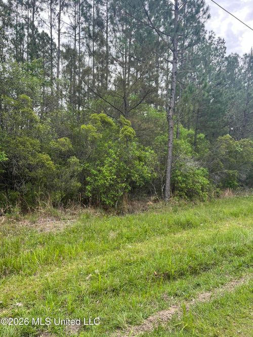 Lot 2 Leetown Road, Picayune, MS, 39466 | Card Image