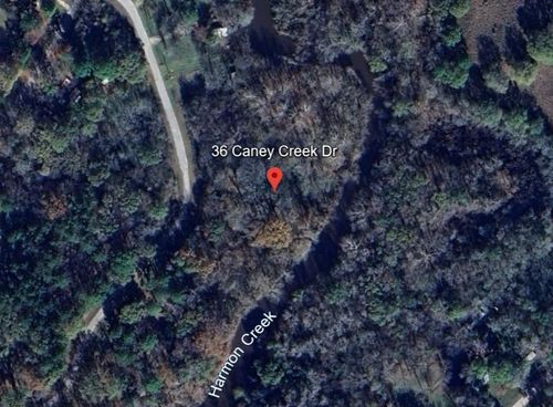36 Caney Creek Dr, Huntsville, TX, 77320-1596 | Card Image