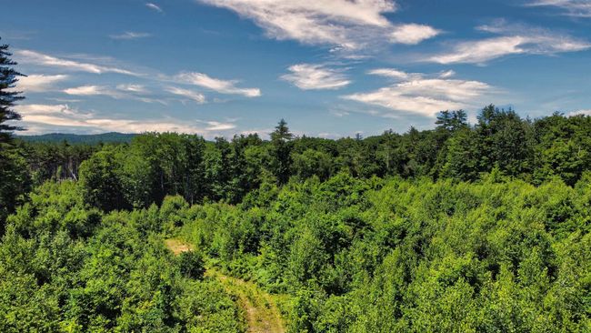 243 Currier Rd, Home with 0 bedrooms, 0 bathrooms and null parking in Andover NH | Image 12